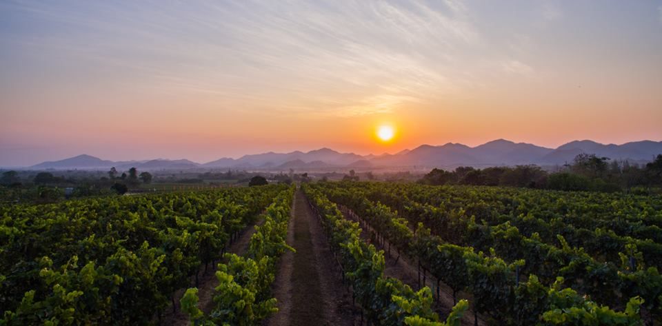 17156315 1449503718435455 2081846120923346724 n 8edfdc01f1 (1)